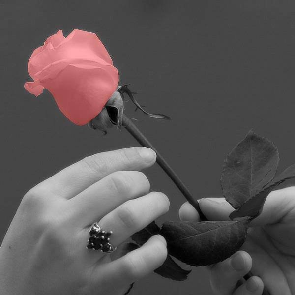 naresh_ninama's profile banner image