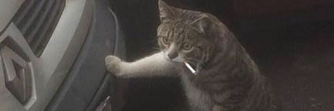 Lezzbe's profile banner image