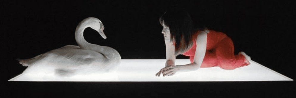 moonlight_lj's profile banner image