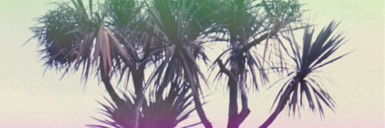 TheLevityBand's profile banner image