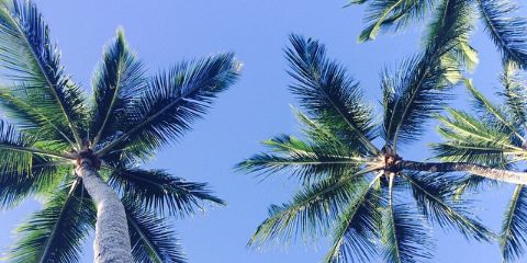 laiatorras_1's profile banner image