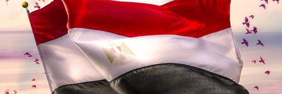 Alaa_Elsharef's profile banner image