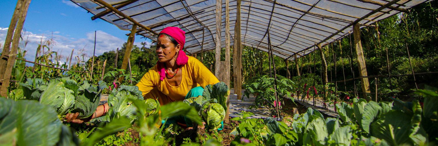 Renewable World banner