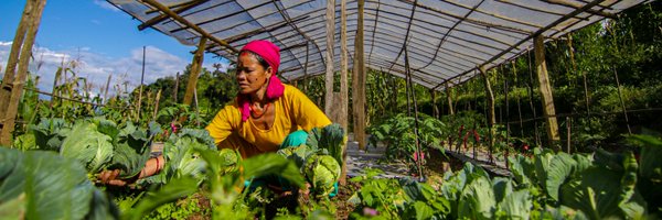 RenewableWorld Profile Banner