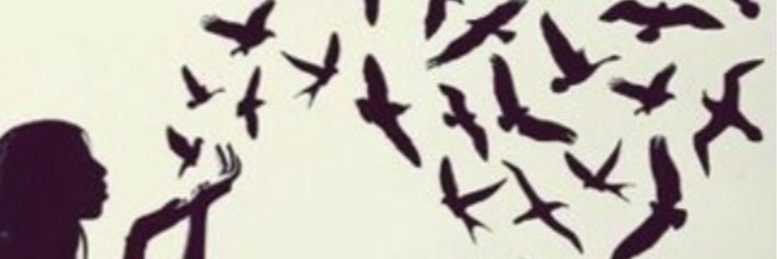 tgd217's profile banner image