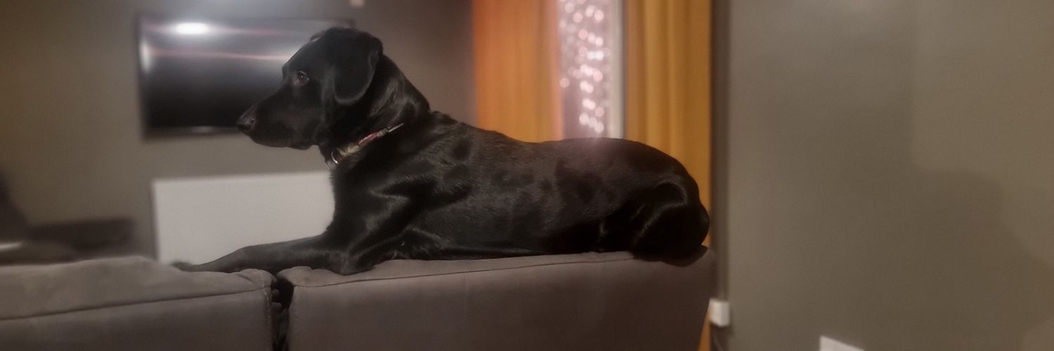 lsjta's profile banner image