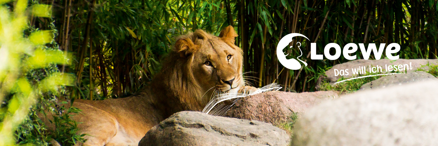 Loewe Verlag banner