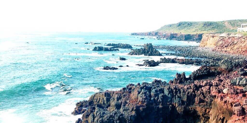 Steven Miller banner