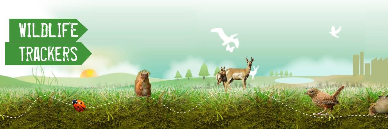 WildlifeTrackrs's profile banner image