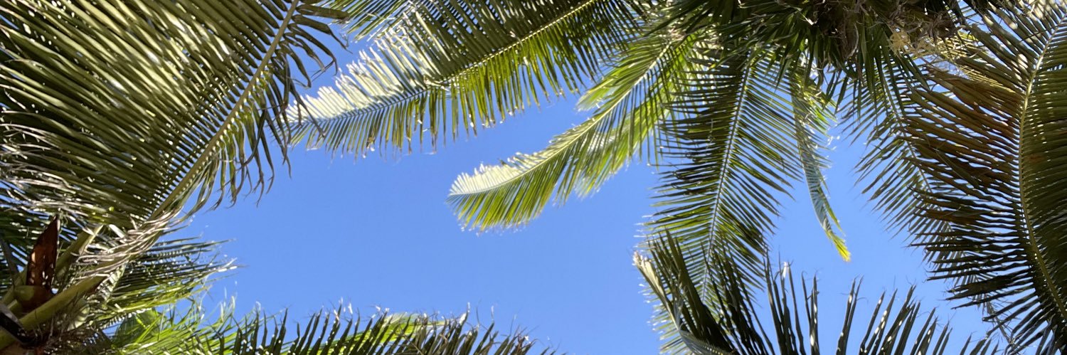 ADW_4's profile banner image
