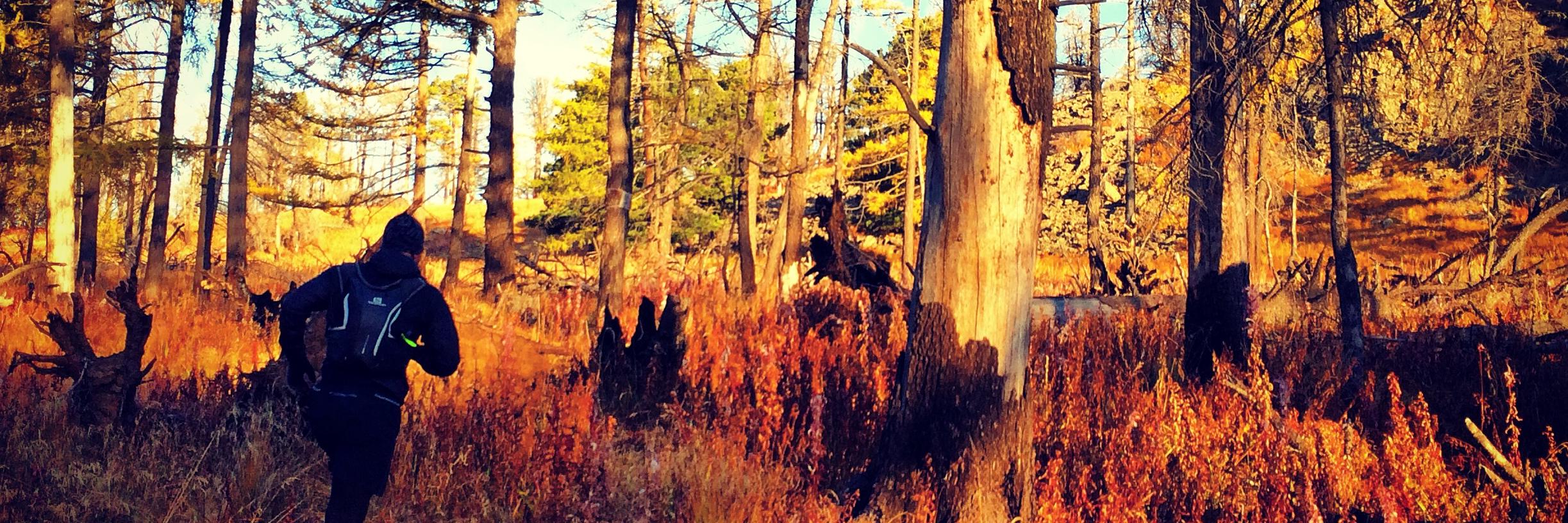 cglasgo79's profile banner image