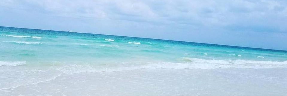 lesliejam's profile banner image