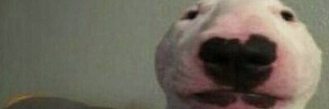 FuckYouOBI's profile banner image