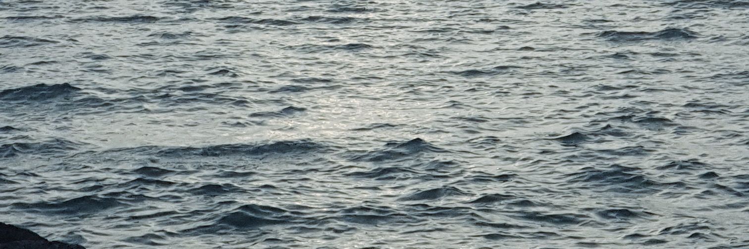 fmay2020's profile banner image