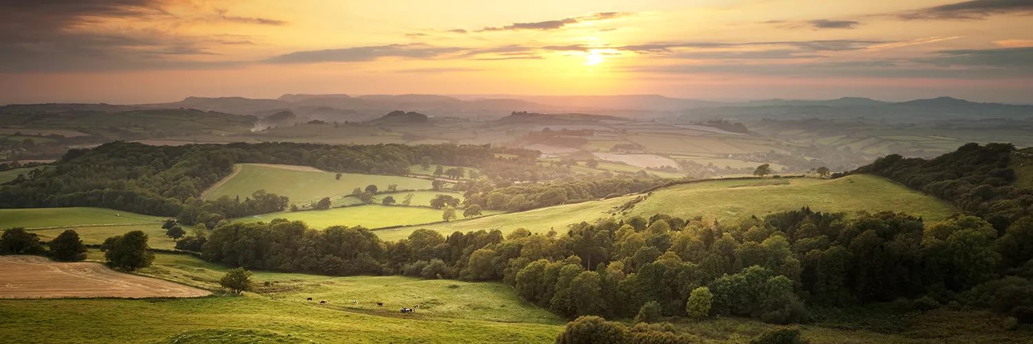LSE conservatives banner