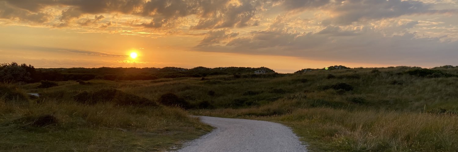 Daphne van Loo banner