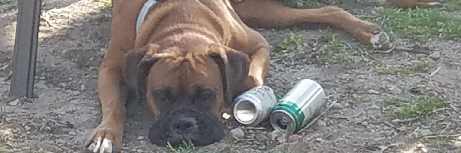 paperboy142's profile banner image