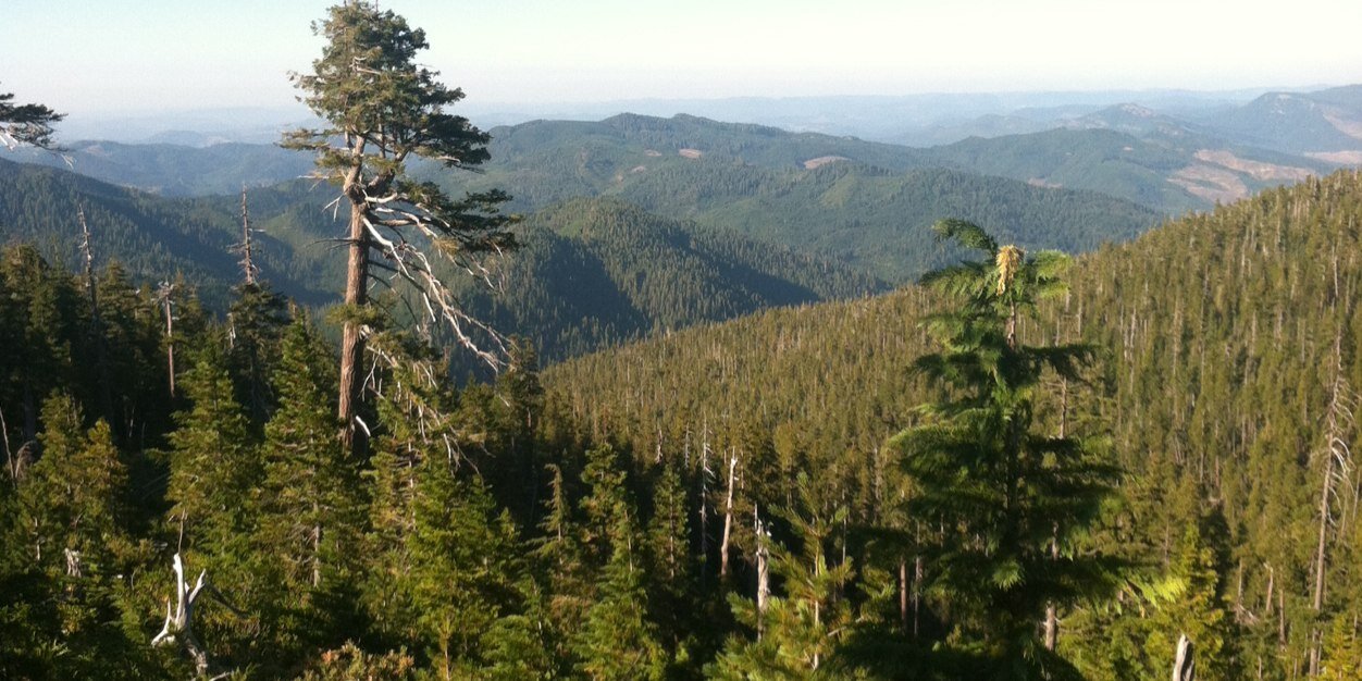 _OffTheGrid's profile banner image