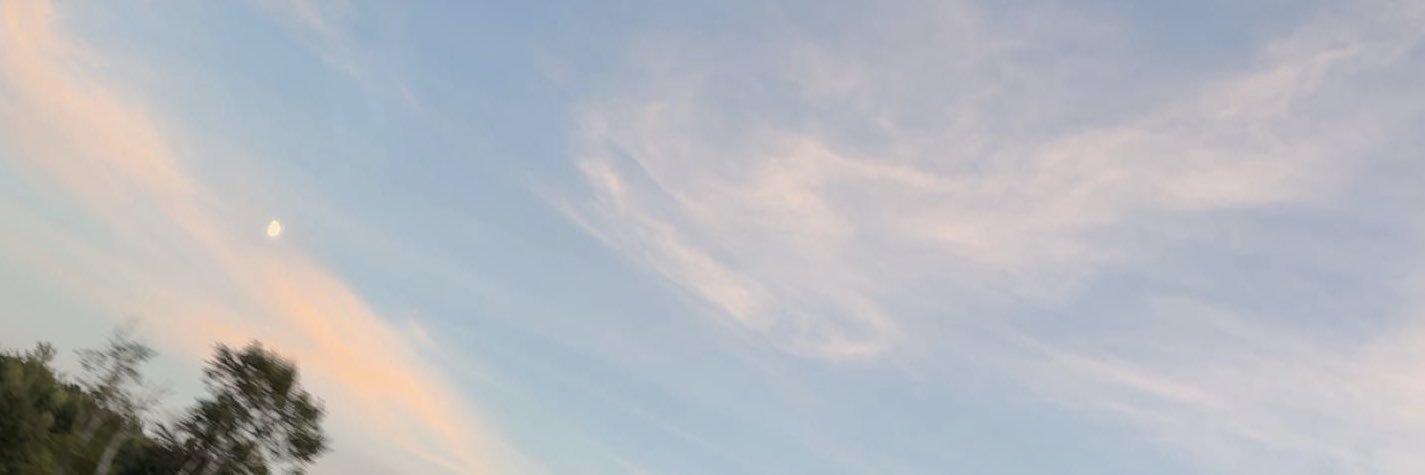 allygetson's profile banner image