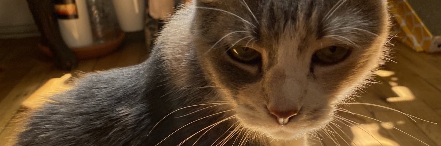 kirkbsmith's profile banner image