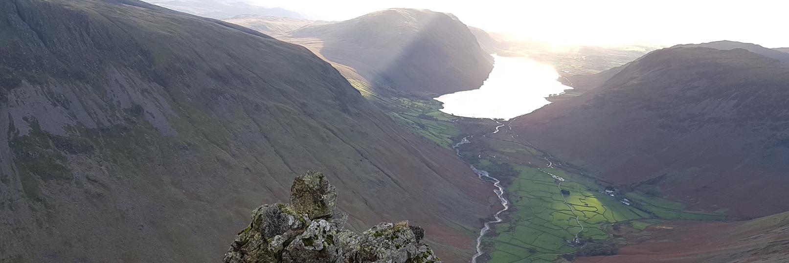 Daniel Simpson banner