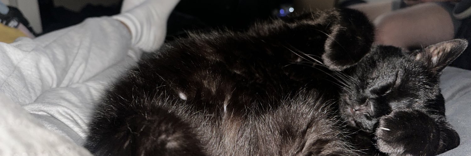 smanny101's profile banner image