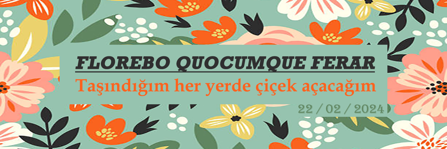 AzerogluC's profile banner image