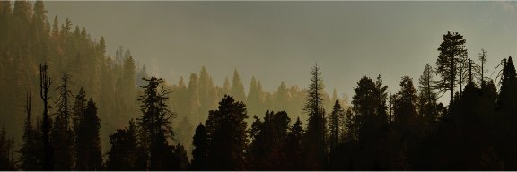 __internaco's profile banner image