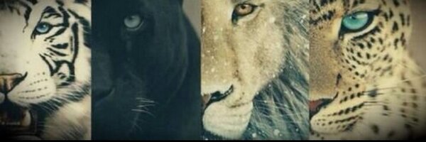 AMalvoy Profile Banner