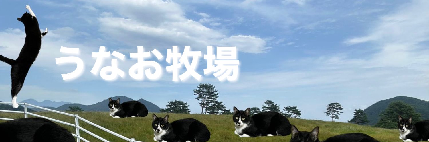 ukkoi's profile banner image