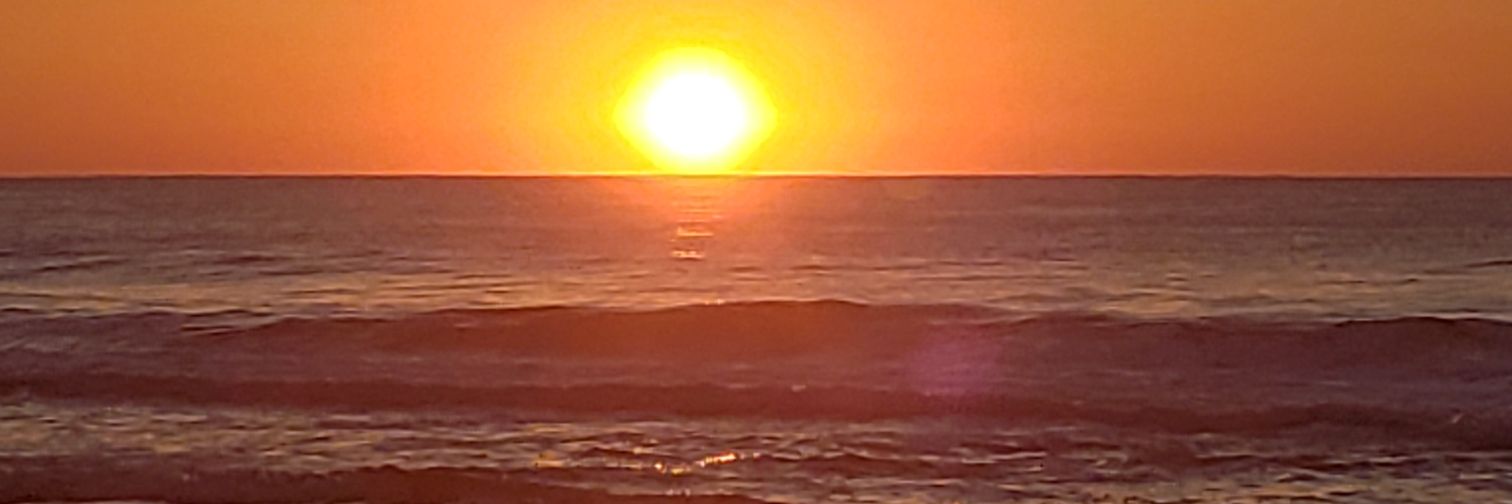 DaniCeCe00's profile banner image