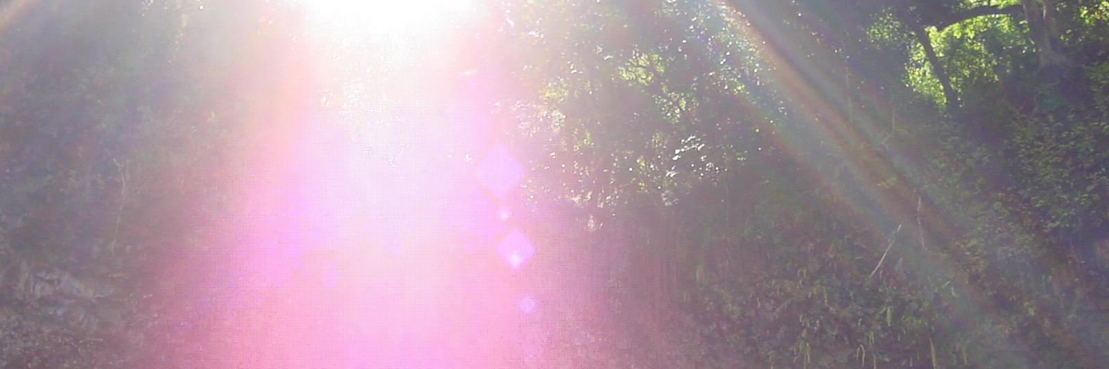 Birth_ofVenus's profile banner image