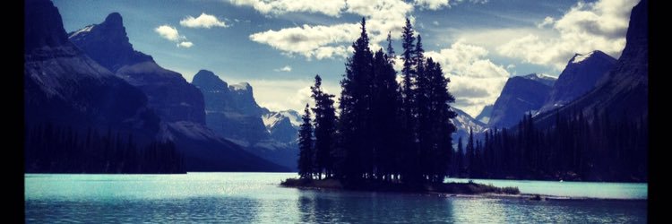 MelissaHorner's profile banner image