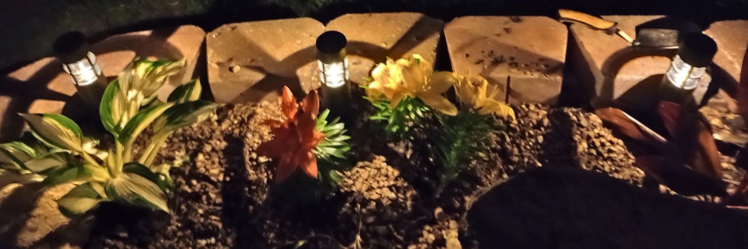 💯💪🌹I'm a strong and beautiful woman ♀️👠 banner