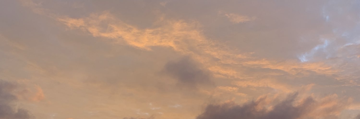 camilacstc's profile banner image