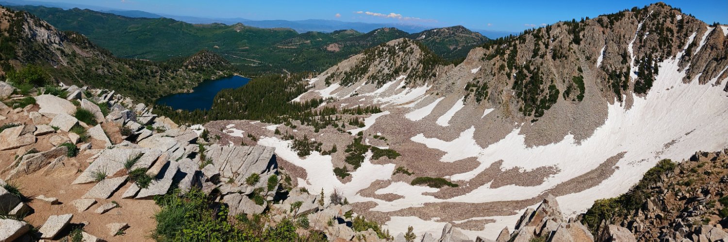 Roubaix 🇵🇸 banner