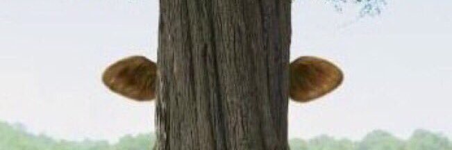 drliamabbott's profile banner image