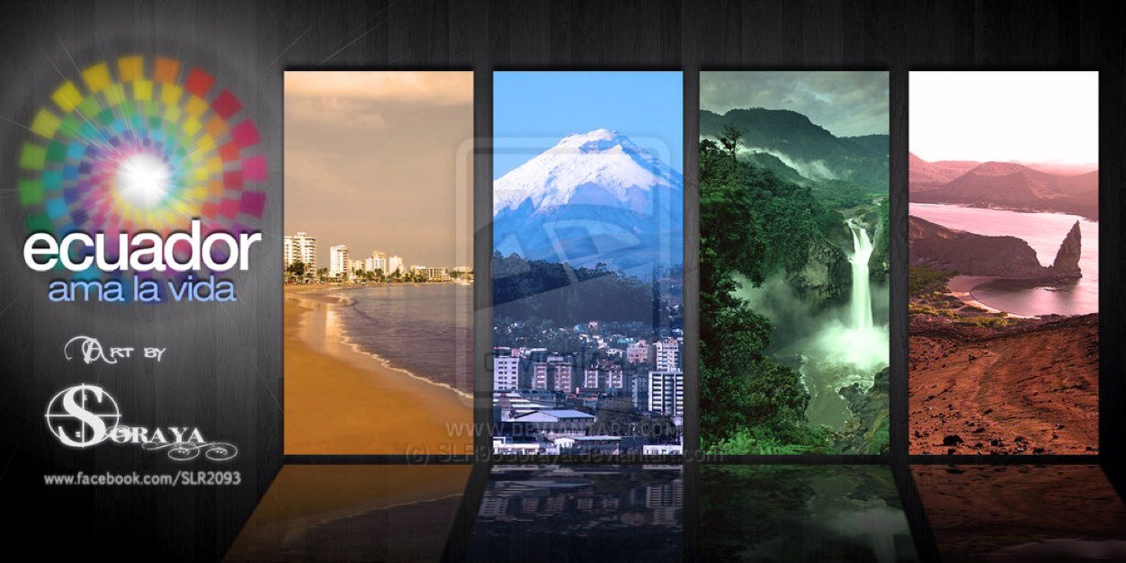 vmbg8103's profile banner image
