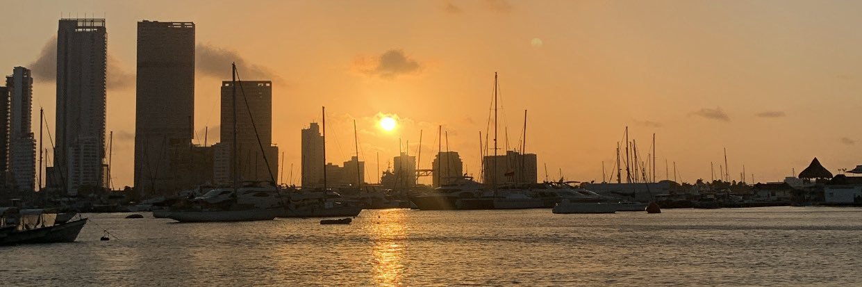 Sofiamedrano20's profile banner image