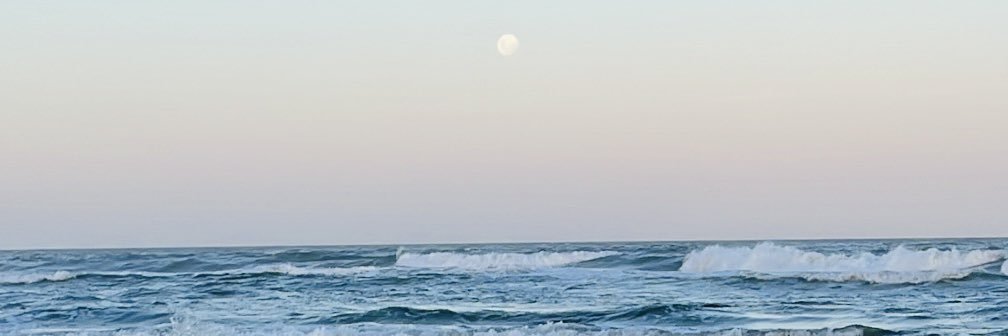 DaqiGalli's profile banner image