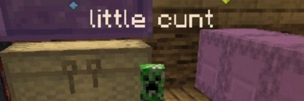 TheLegendOfMeg Profile Banner