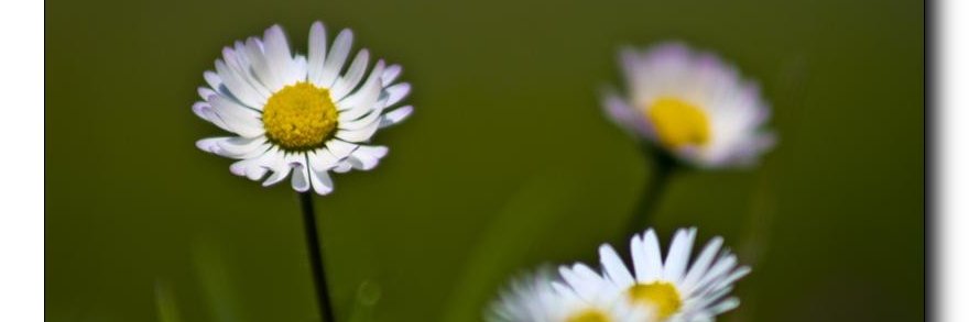 tncr_tava's profile banner image