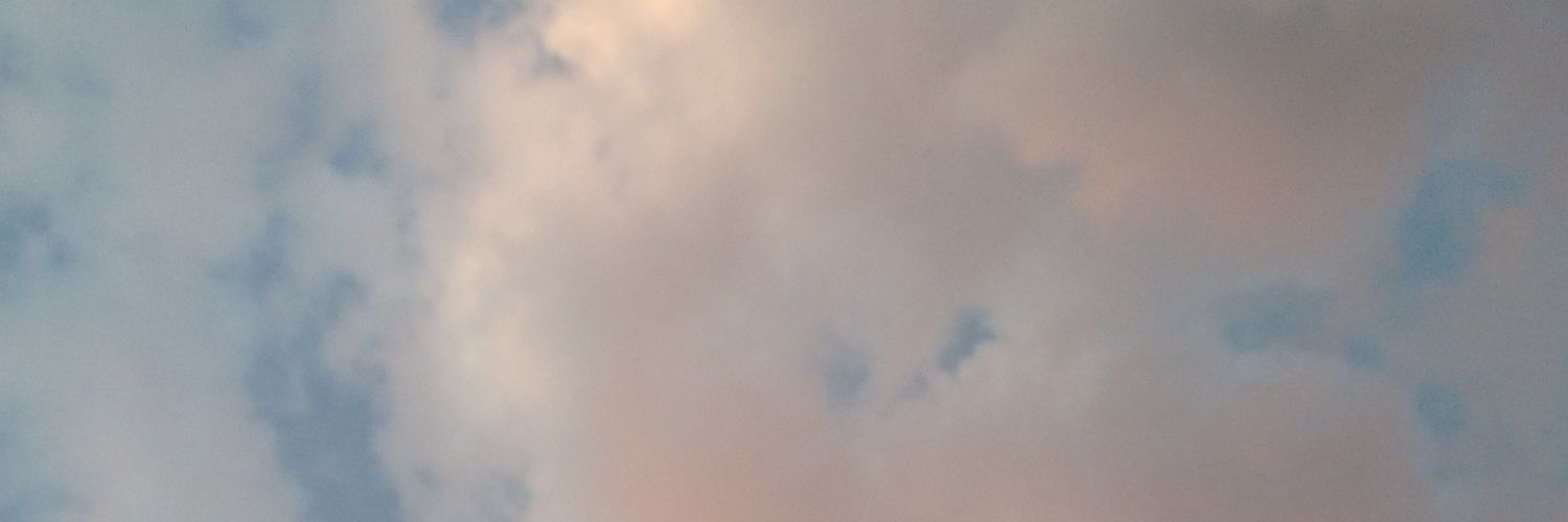 Christine Foligno banner