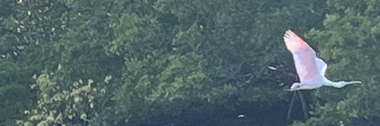 MarkRiddleKY's profile banner image