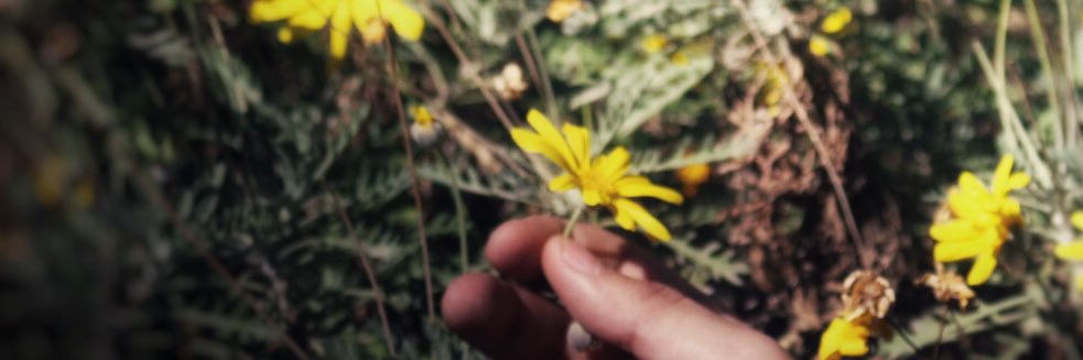 cabmaro's profile banner image