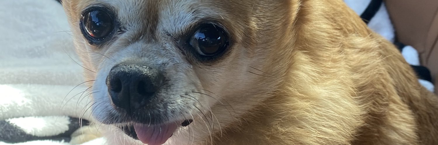 robbins65's profile banner image