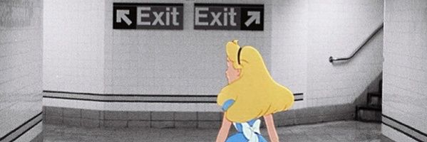 pic_fany's profile banner image