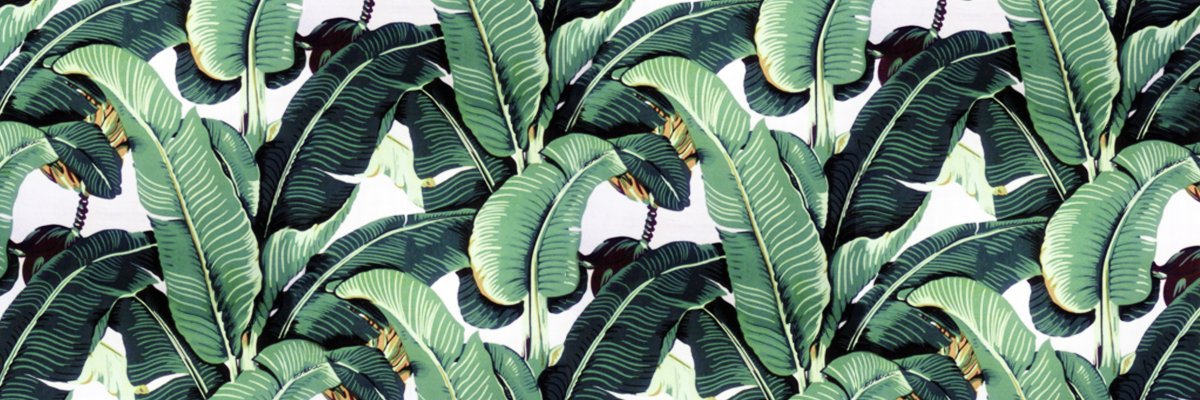 Beau banner