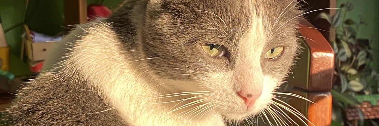 _Alcapri's profile banner image