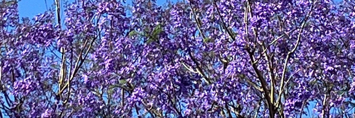 EdnaEdnarj's profile banner image